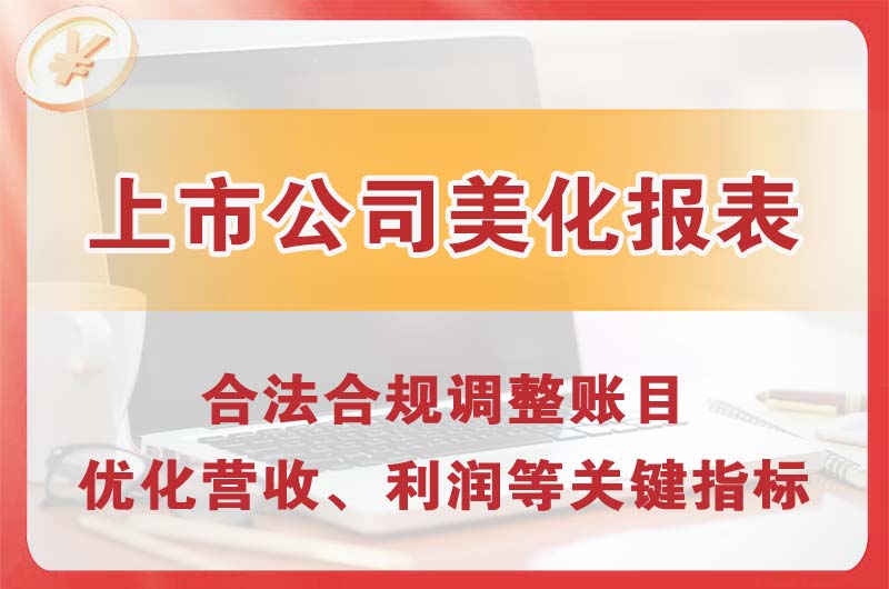 海北上市公司美化报表